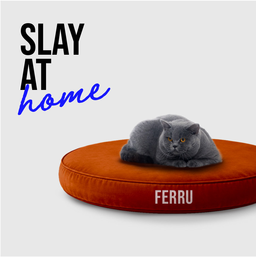 Slay at home: Fur-u cat and cushion campaign